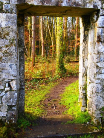 Gate from walled garden