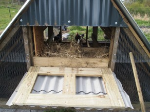 Nest boxes, accessible from back